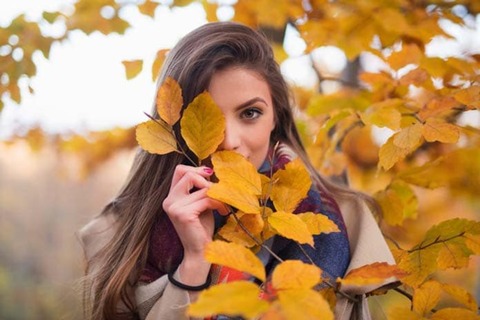 Selezione autunno